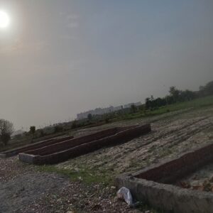 IMG-20250606-WA0115